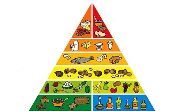 pirâmide alimentar para emagrecer